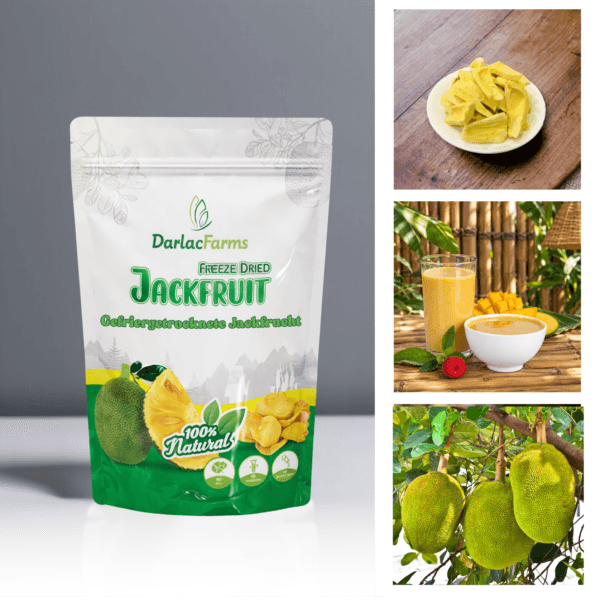 Gefriergetrocknete Jackfrucht
